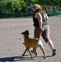 Ady treeneissä / training